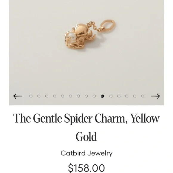 Catbird spider charm - Picture 4 of 4